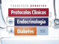 Protocolos Clínicos Em Endocrinologia E Diabetes 4 ed.  2021 por Francisco Bandeira (Autor)
